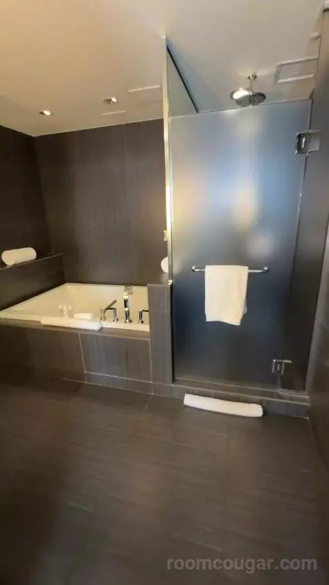 Joule Suite bathroom picture #4