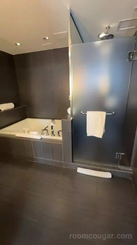 Joule Suite bathroom picture #5