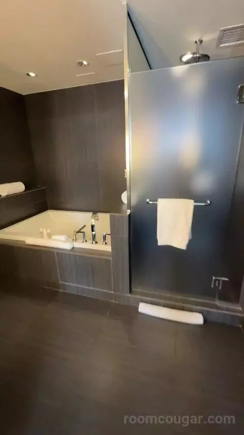 Joule Suite bathroom picture #6