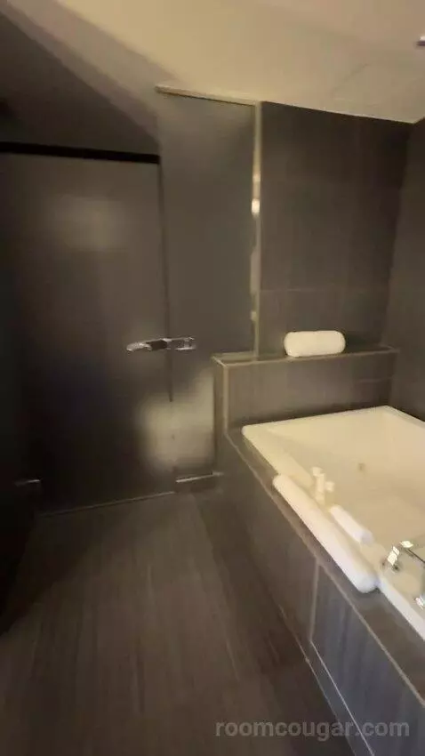 Joule Suite bathroom picture #7