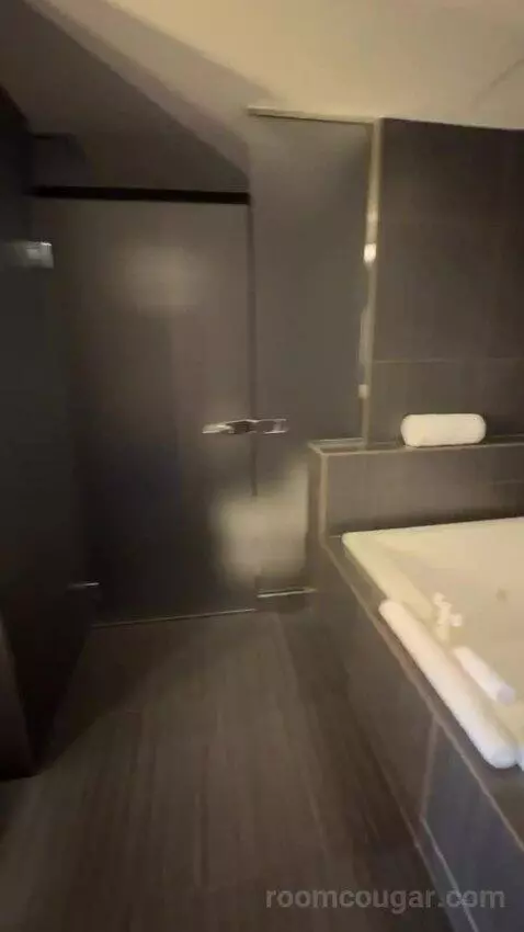 Joule Suite bathroom picture #8