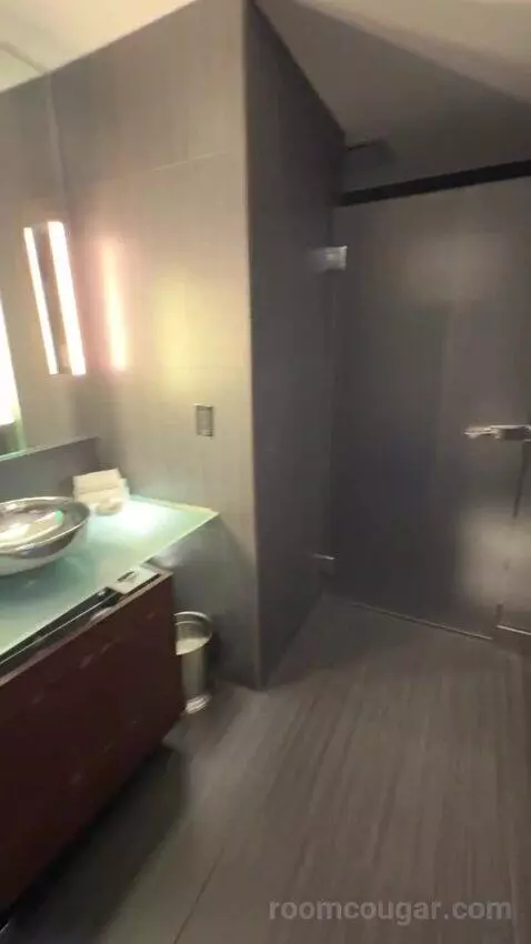 Joule Suite bathroom picture #10