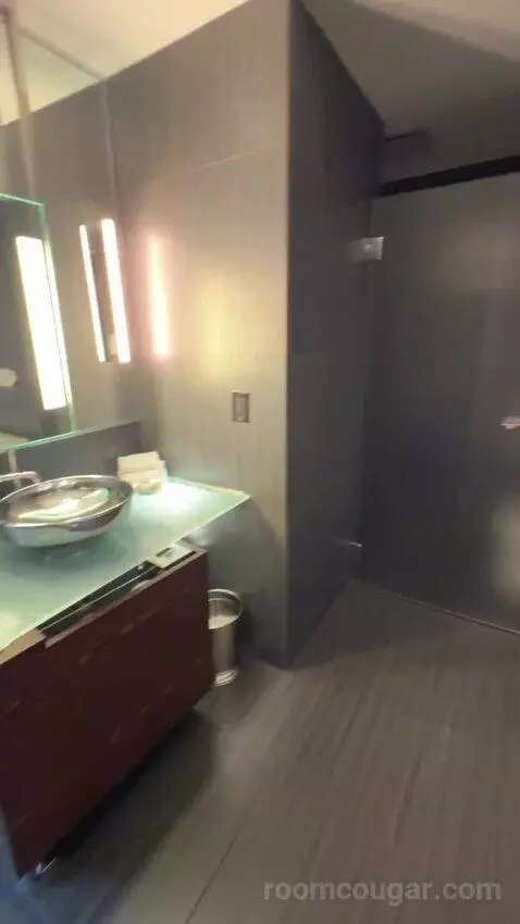 Joule Suite bathroom picture #11