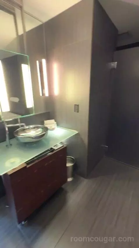 Joule Suite bathroom picture #12