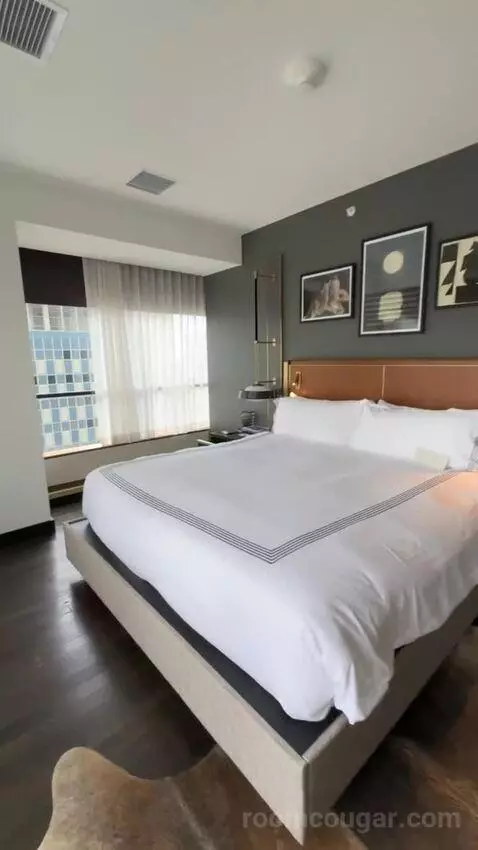 Corner Suite bed picture #7