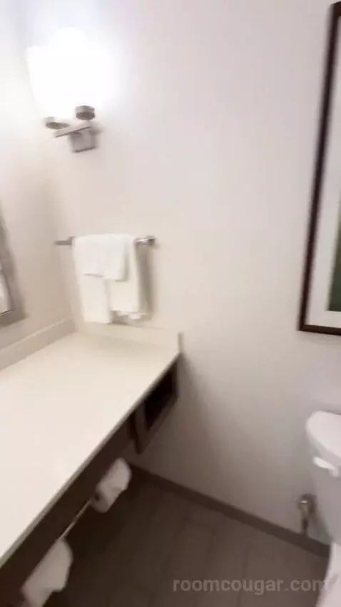 King Room bathroom picture #9