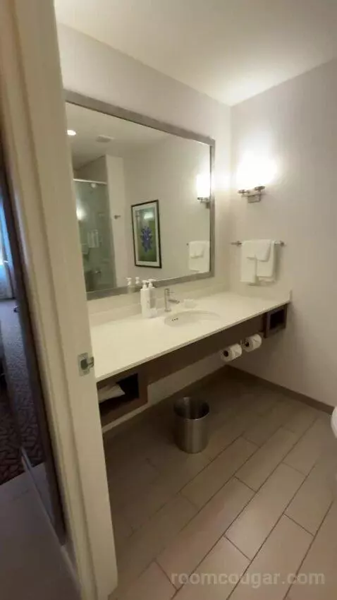 King Room bathroom picture #2