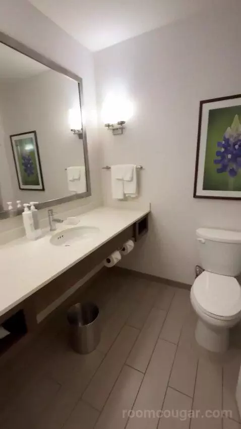King Room bathroom picture #3