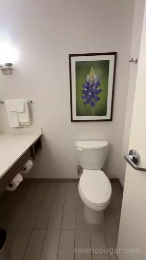 King Room bathroom picture #4