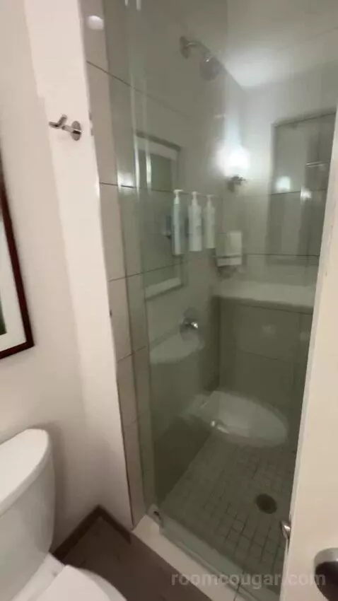 King Room bathroom picture #6
