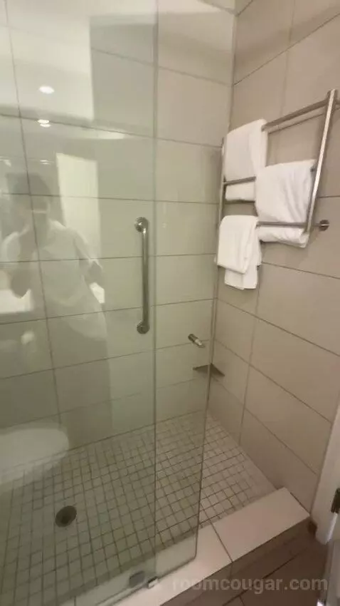 King Room bathroom picture #8