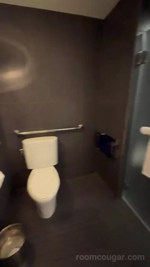 Deluxe King Room bathroom picture #7