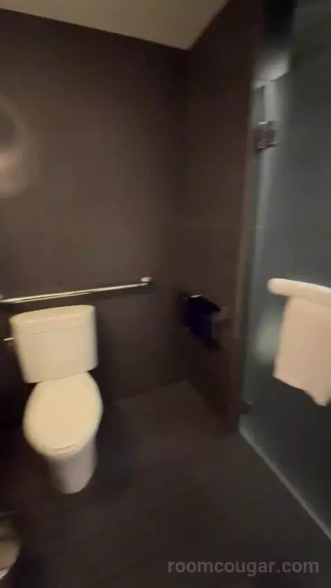 Deluxe King Room bathroom picture #8