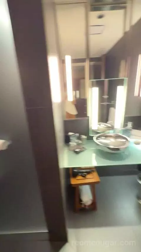 Deluxe King Room bathroom picture #9