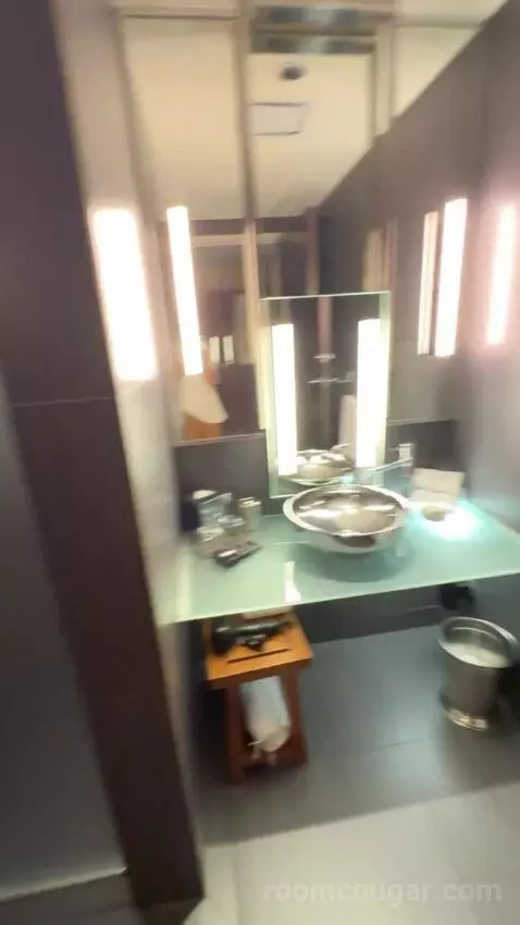 Deluxe King Room bathroom picture #10