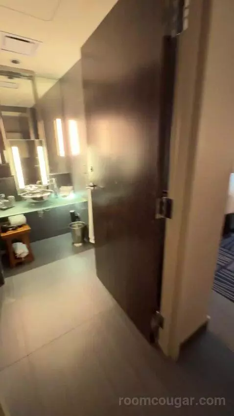 Deluxe King Room bathroom picture #1