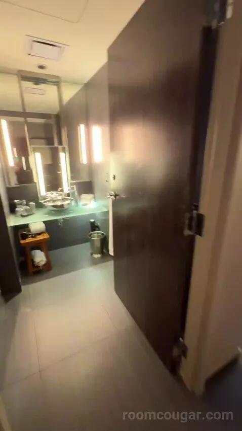 Deluxe King Room bathroom picture #2