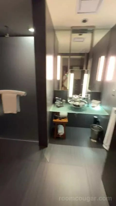 Deluxe King Room bathroom picture #3