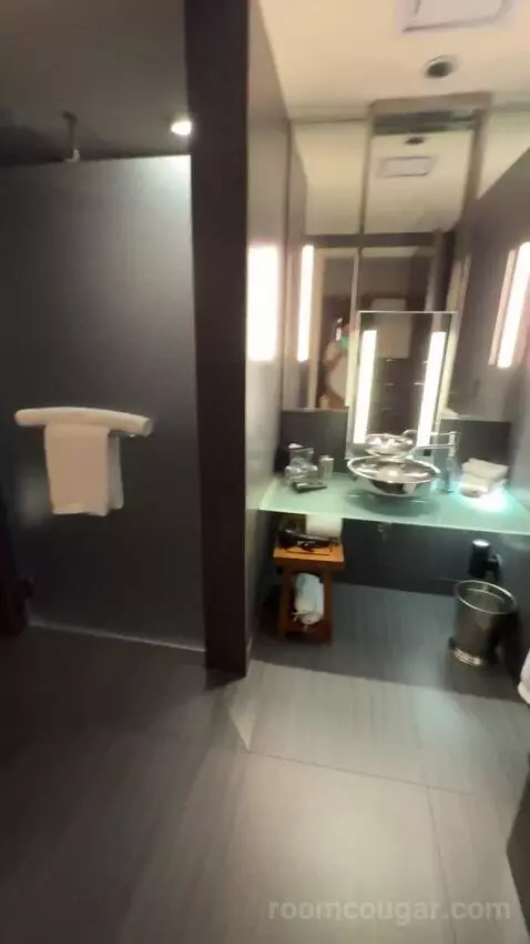 Deluxe King Room bathroom picture #4