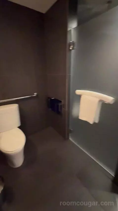 Deluxe King Room bathroom picture #5