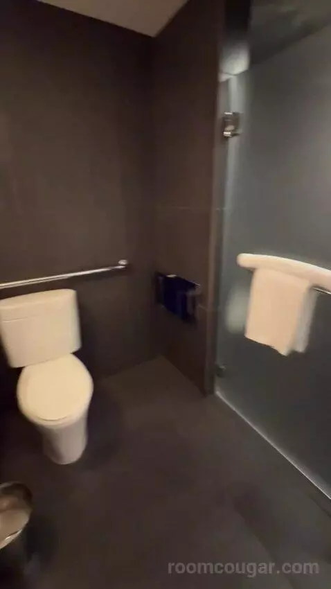 Deluxe King Room bathroom picture #6