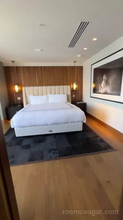 North Penthouse Suite bed picture #12