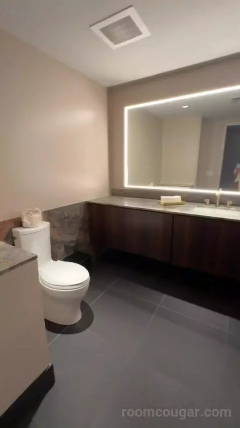 North Penthouse Suite bathroom picture #2