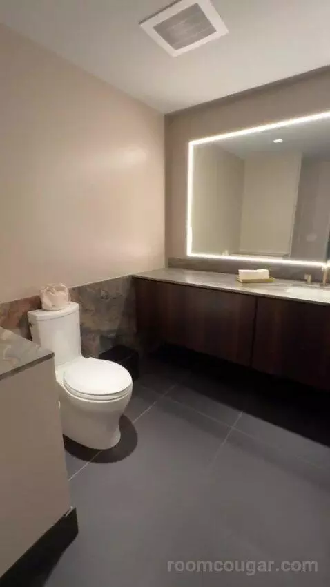 North Penthouse Suite bathroom picture #3