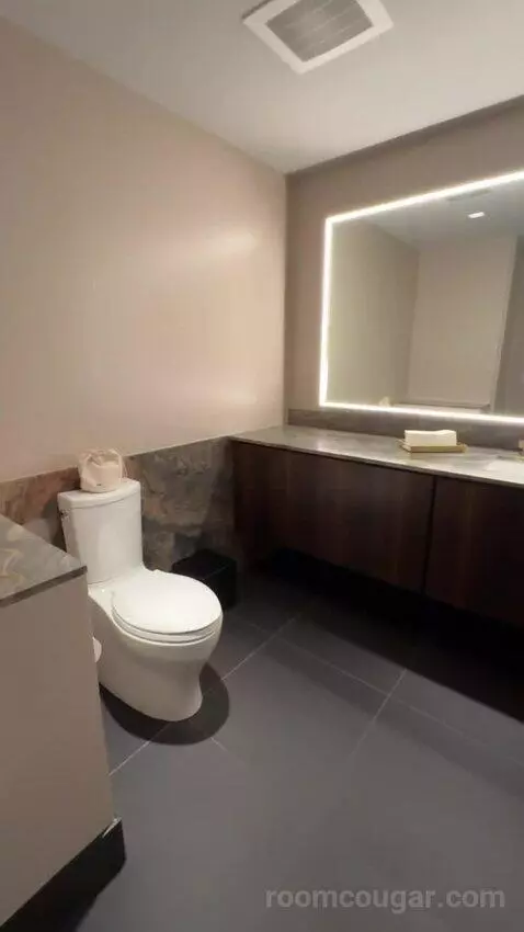 North Penthouse Suite bathroom picture #4