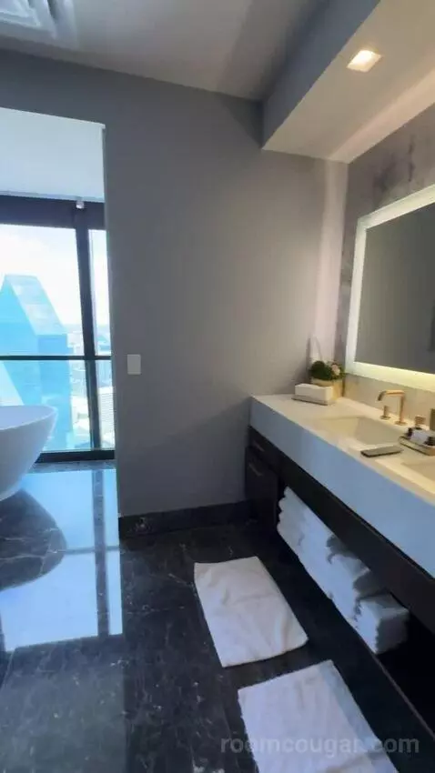 North Penthouse Suite bathroom picture #8