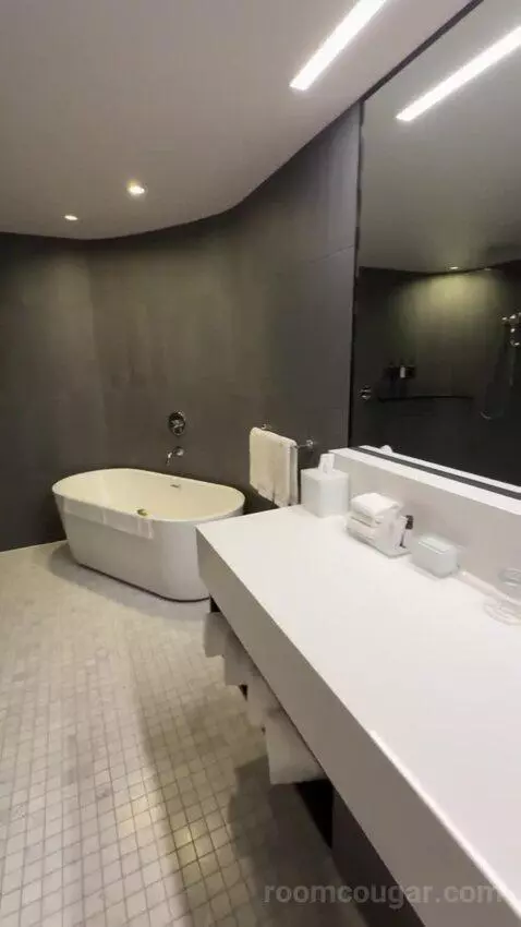 Premium Queen Room with Two Queen Beds bathroom picture #5