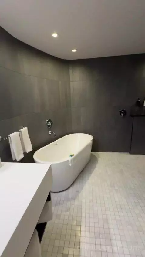 Premium King Room bathroom picture #5