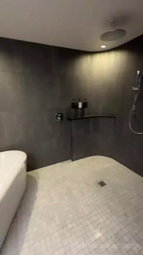 Premium King Room bathroom picture #6