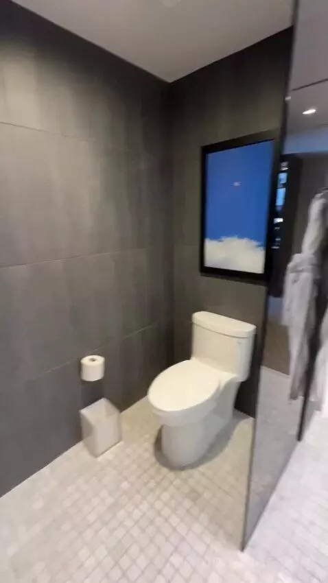 Premium King Room bathroom picture #8