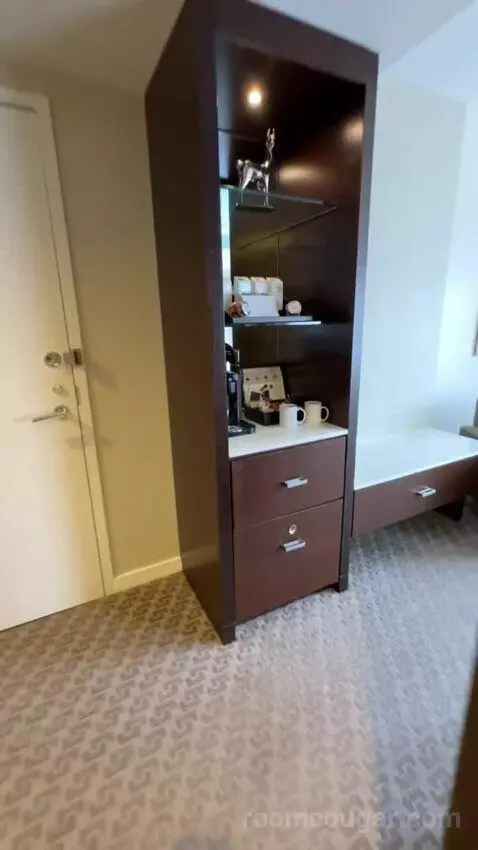 Premium King Room bathroom picture #10