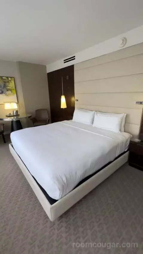 Premium King Room bed picture #11