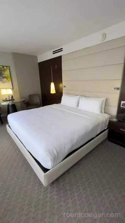 Premium King Room bed picture #12