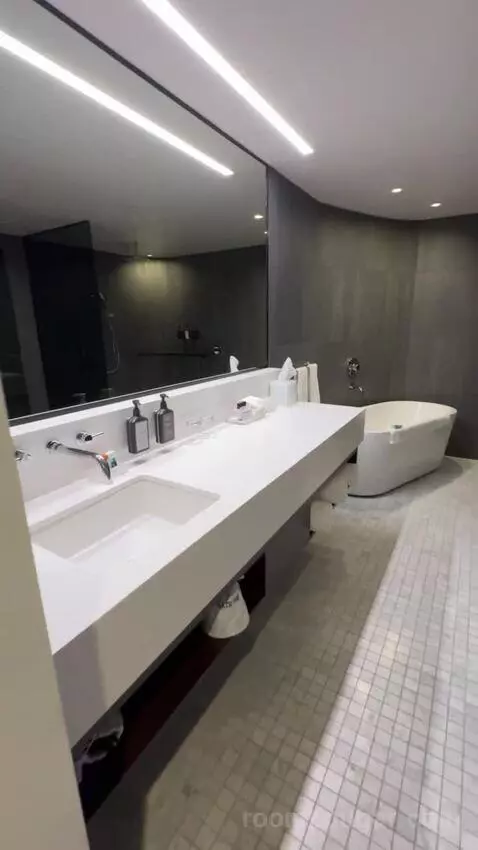 Premium King Room bathroom picture #3
