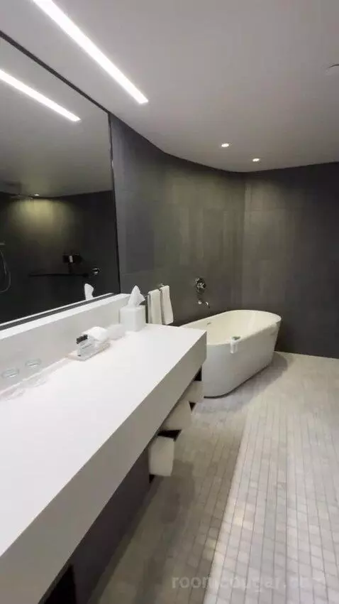 Premium King Room bathroom picture #4