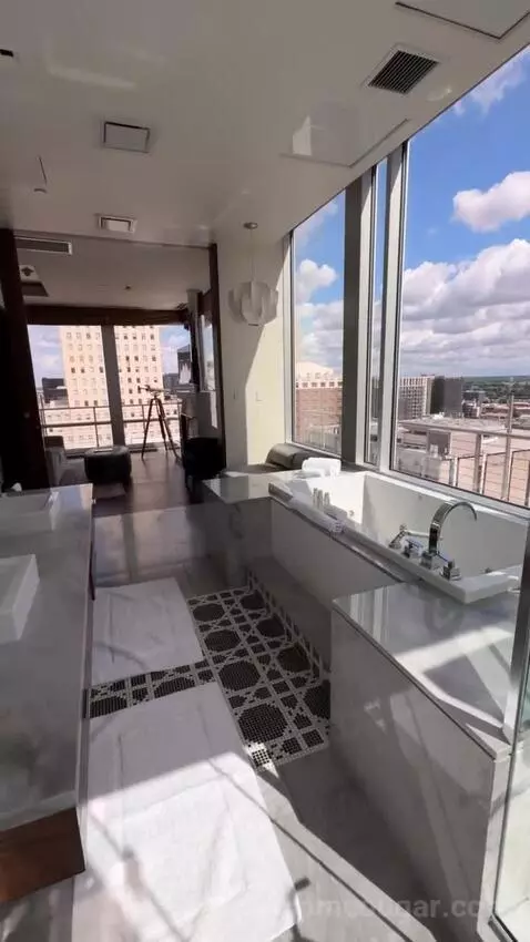 The Joule Penthouse view picture #10