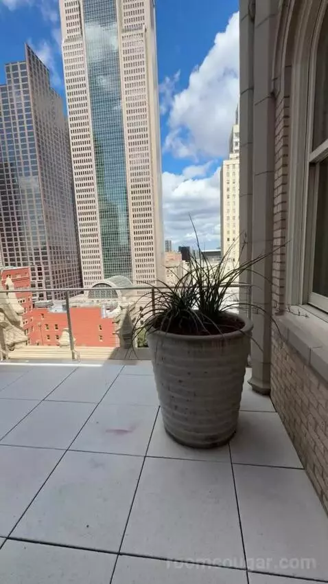 The Joule Penthouse view picture #4