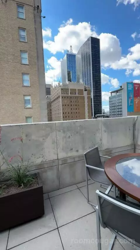 Penthouse Loft view picture #9
