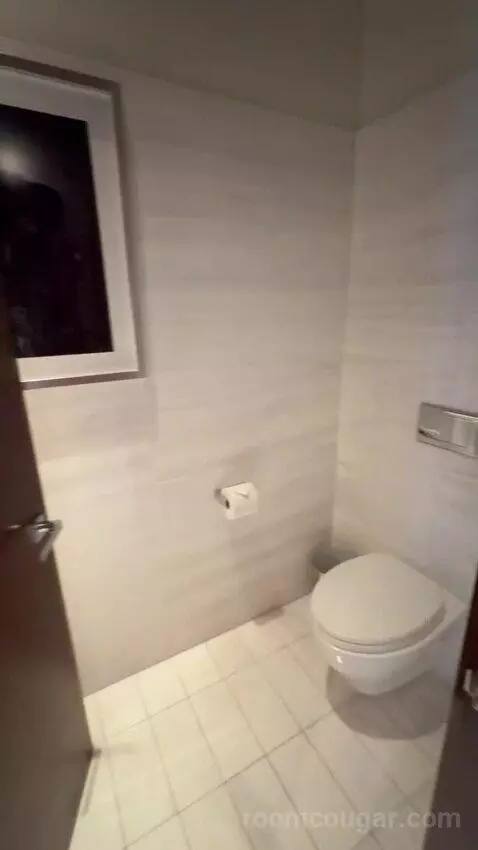 Penthouse Loft bathroom picture #1