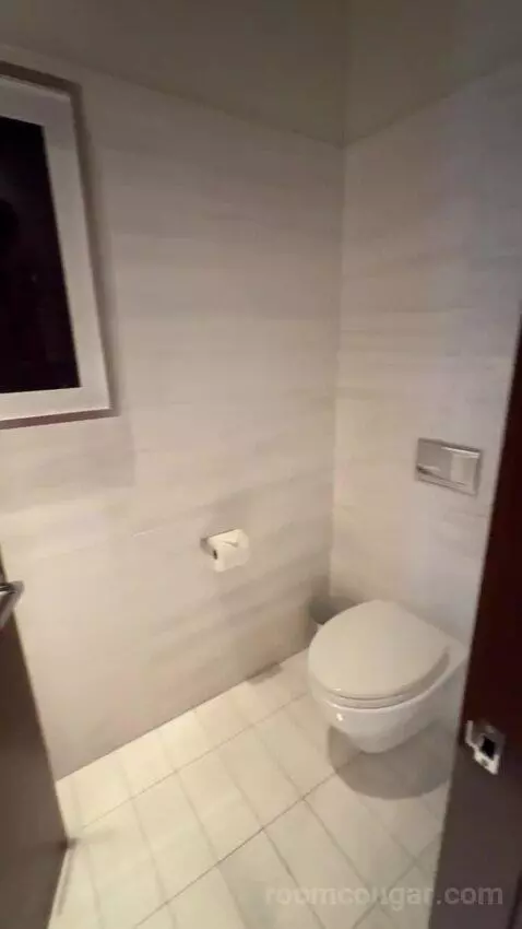 Penthouse Loft bathroom picture #2