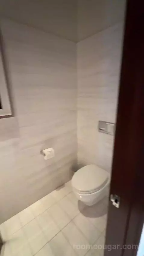 Penthouse Loft bathroom picture #3
