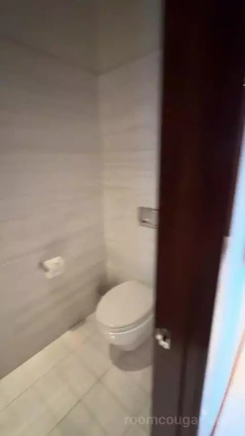 Penthouse Loft bathroom picture #4