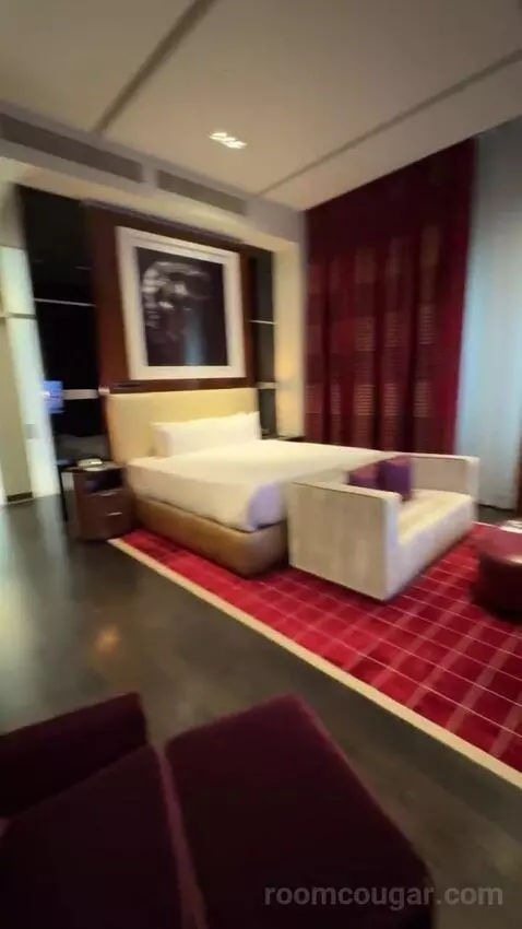 Penthouse Loft bed picture #3