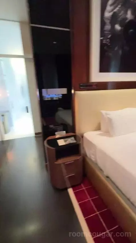 Penthouse Loft bed picture #8