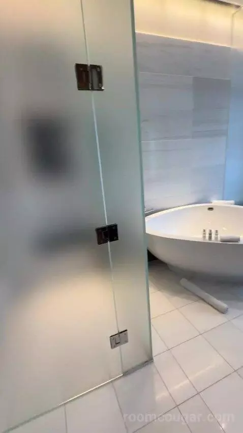 Penthouse Loft bathroom picture #5