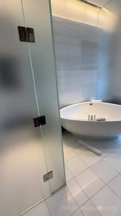 Penthouse Loft bathroom picture #6